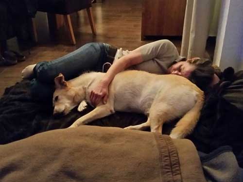 World of Strays Straßenhunde Spanien