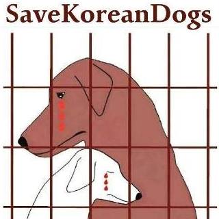 Save Korean Dogs World of Strays