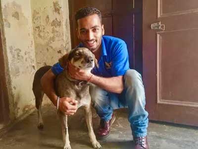 World of Strays Guardians of the Voiceless Indien pankaj arora