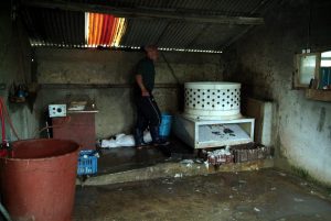 Save Korean Dogs World of Strays