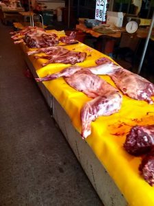 save korean dogs Hundefleischhandel World of Strays