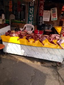 save korean dogs Hundefleischhandel World of Strays