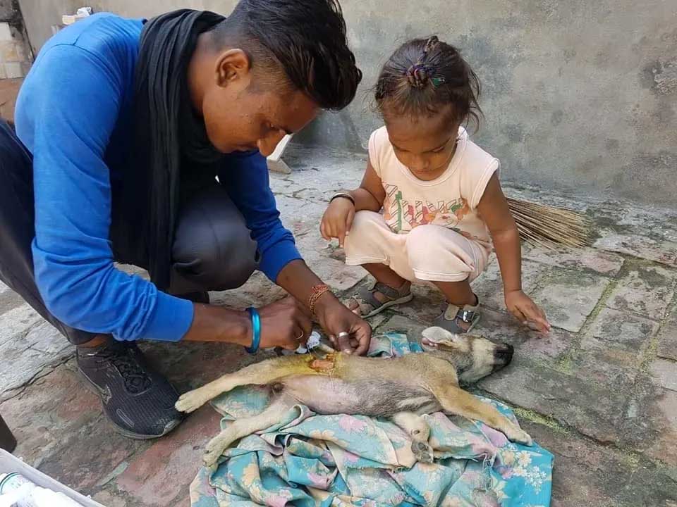 World of Strays Guardians of the Voiceless Indien