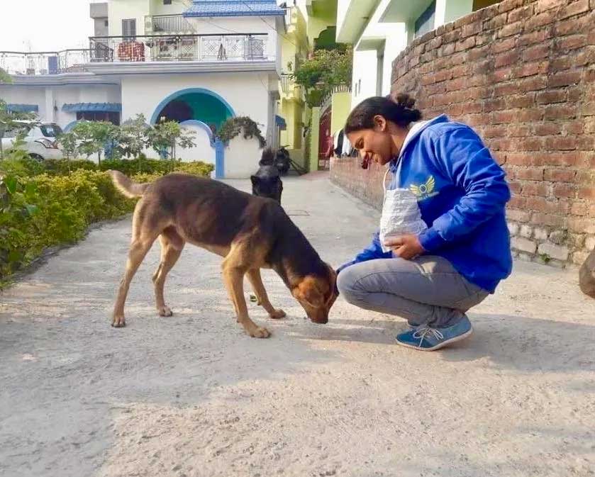 World of Strays Guardians of the Voiceless Indien