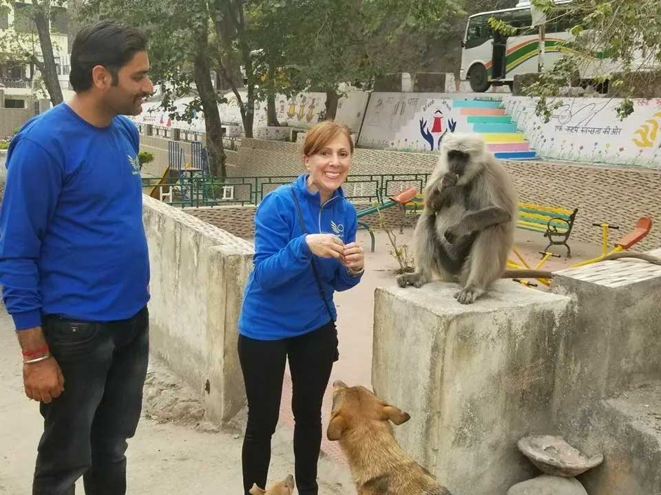 World of Strays Guardians of the Voiceless Indien