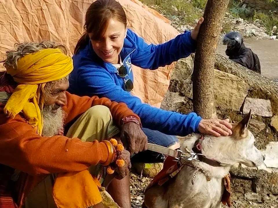 World of Strays Guardians of the Voiceless Indien