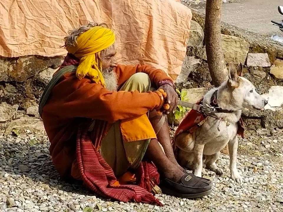 World of Strays Guardians of the Voiceless Indien