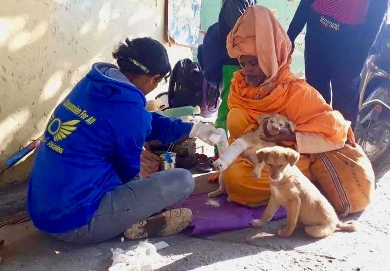 World of Strays Guardians of the Voiceless Indien