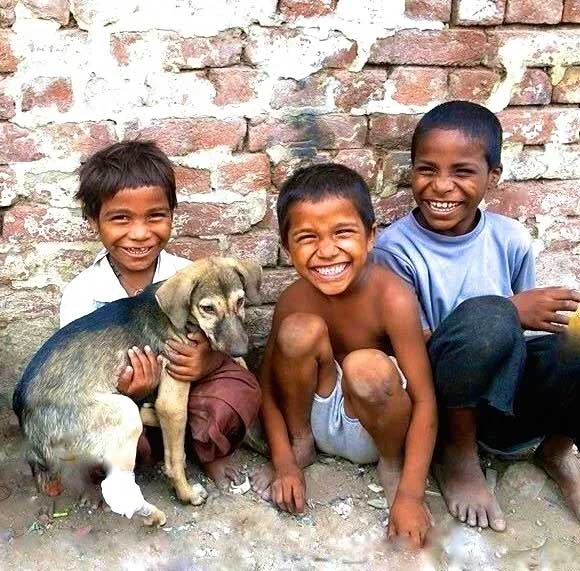 World of Strays Guardians of the Voiceless Indien