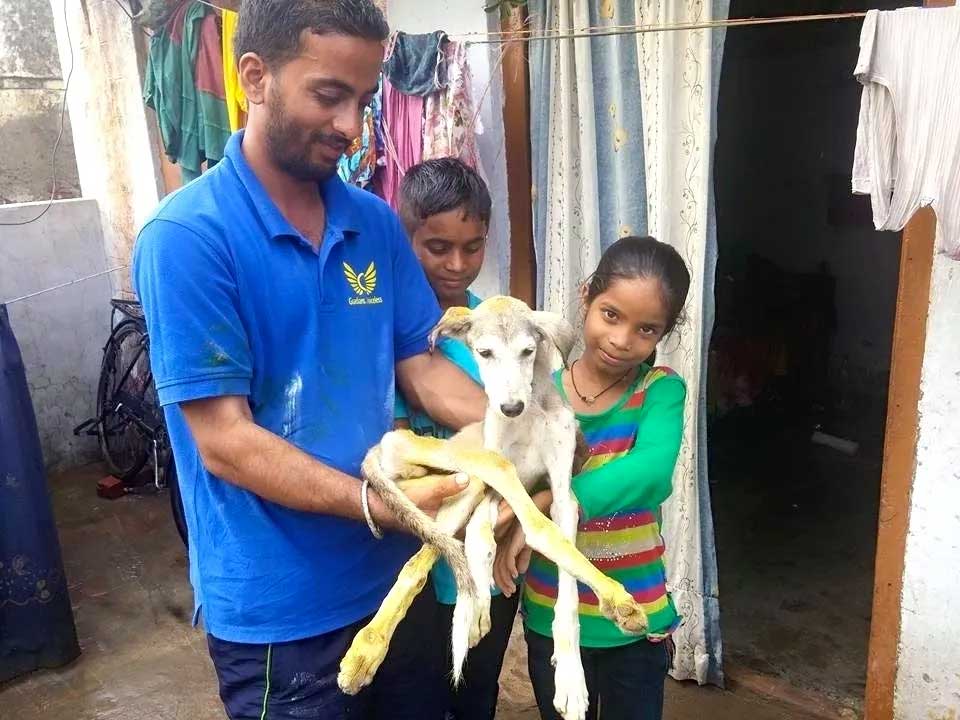 World of Strays Guardians of the Voiceless Indien