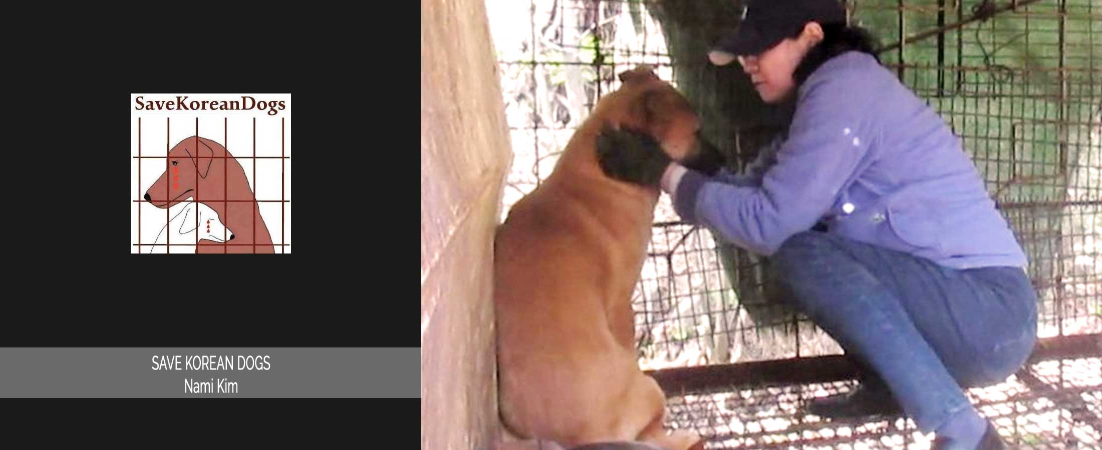 World of Strays Save Korean Dogs