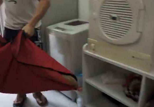 Ol Boy Singapur Strays World of Strays Straßenhunde