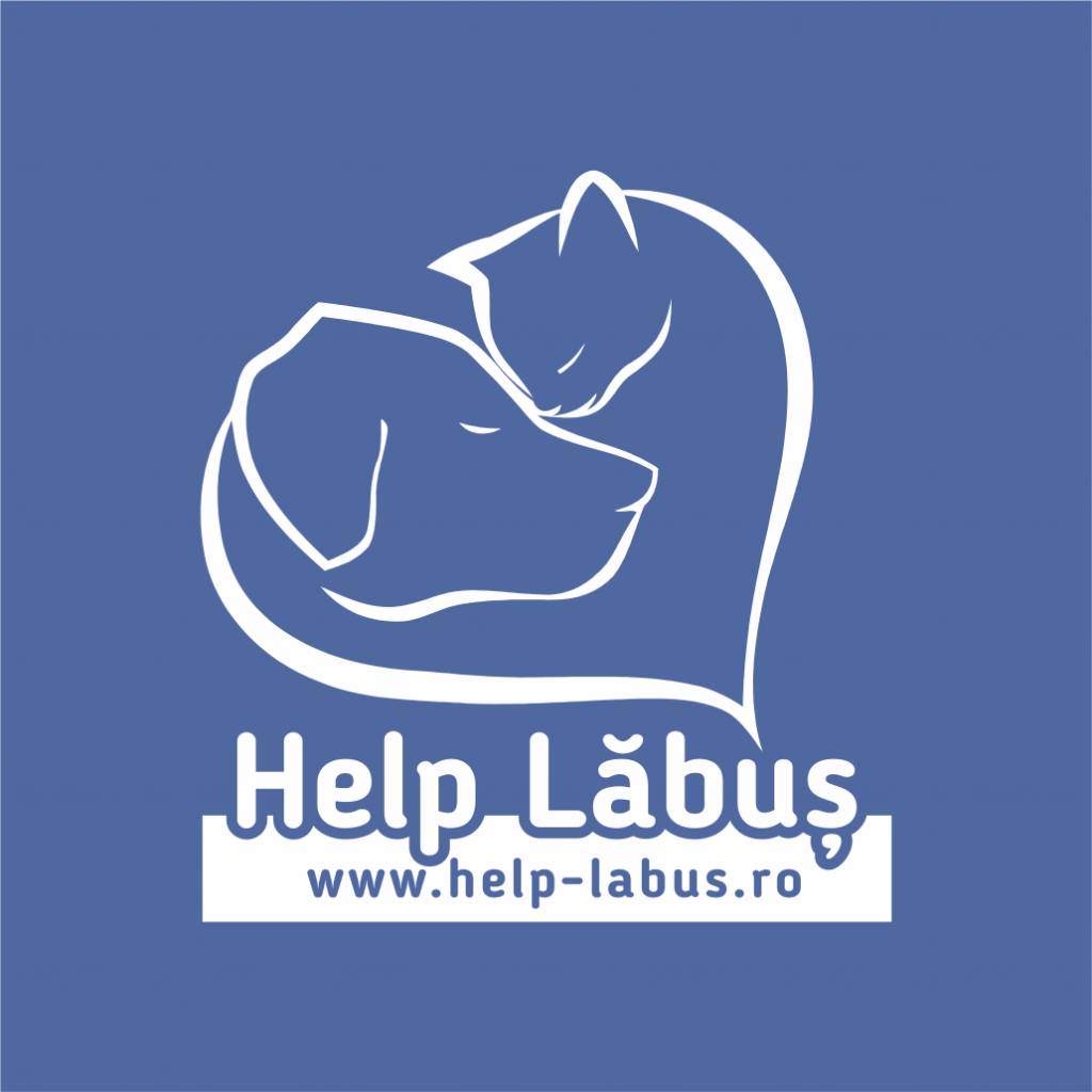 World of Strays Help Labus Rumänien