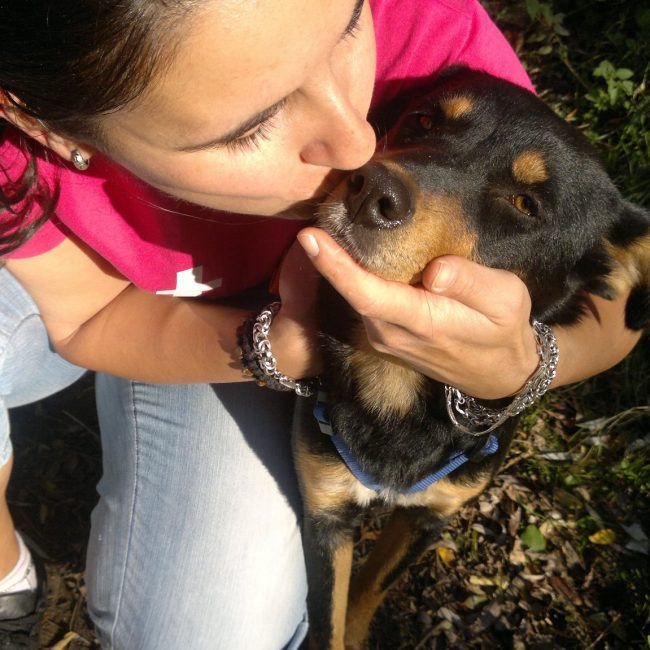 Tierschutz Hunde Bulgarien World of Strays