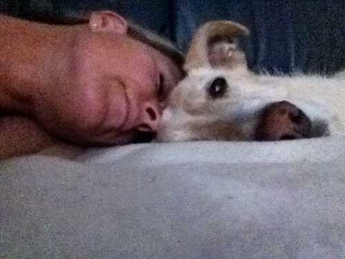 World of Strays Straßenhunde Spanien