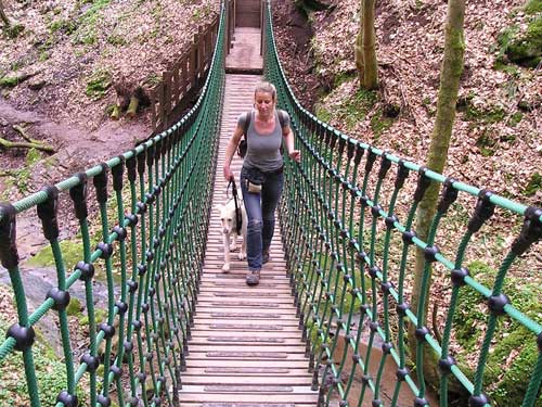 World of Strays Straßenhunde Spanien