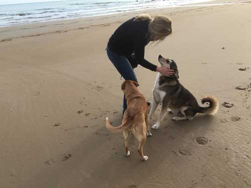 World of Strays Tierschutz Hunde Straßenhunde Sizilien