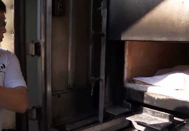 Ol Boy Singapur Strays World of Strays Straßenhunde