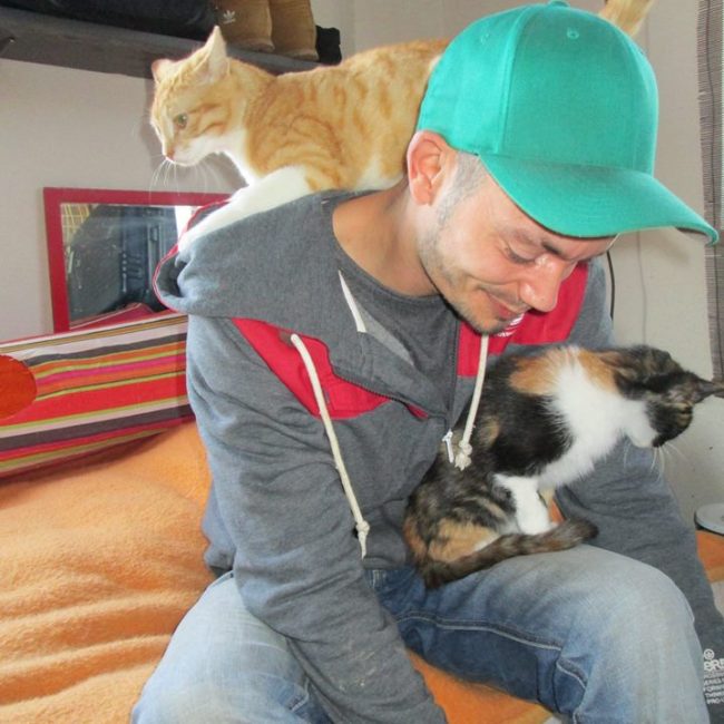 Türkei Straßenhunde Report Kitmir e.V. World of Strays