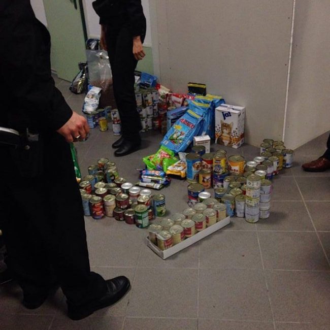 Türkei Straßenhunde Report Kitmir e.V. World of Strays