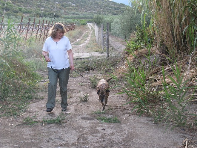5 Tage mit Foteini - Eindrücke einer Reise World of Strays Straßenhunde Griechenland