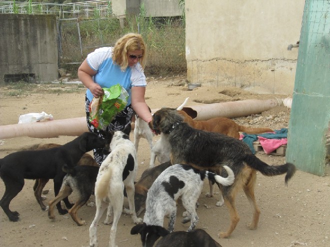 5 Tage mit Foteini - Eindrücke einer Reise World of Strays Straßenhunde Griechenland