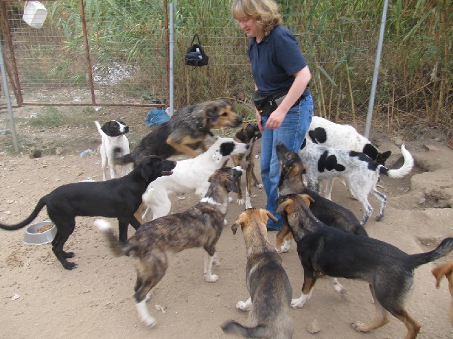 5 Tage mit Foteini - Eindrücke einer Reise World of Strays Straßenhunde Griechenland