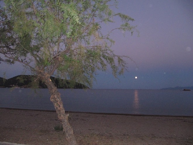 5 Tage mit Foteini - Eindrücke einer Reise World of Strays Straßenhunde Griechenland