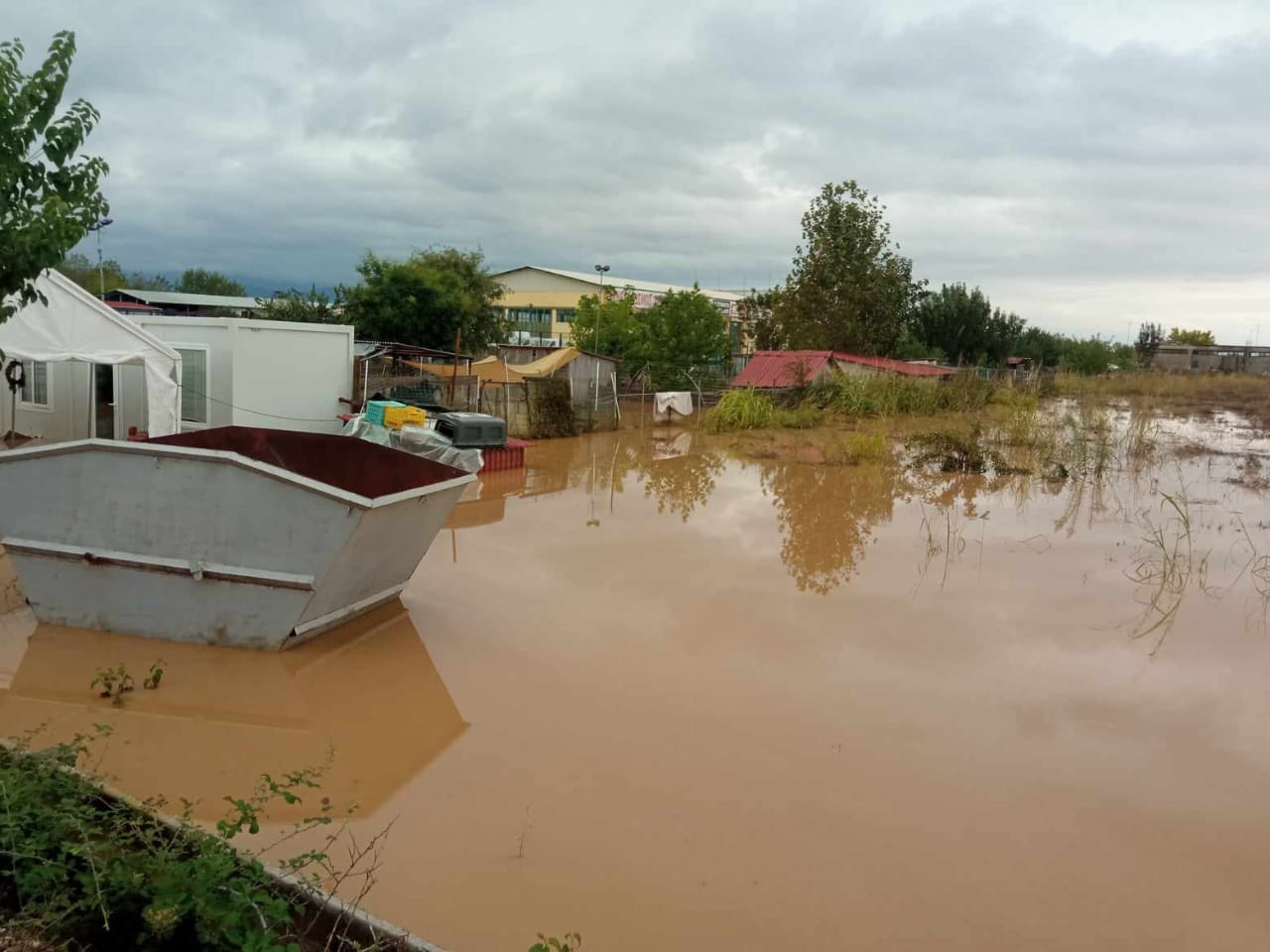 Tiere in Not Griechenland eV Flutkatastrophe Karditsa 2023 World of Strays Straßenhunde