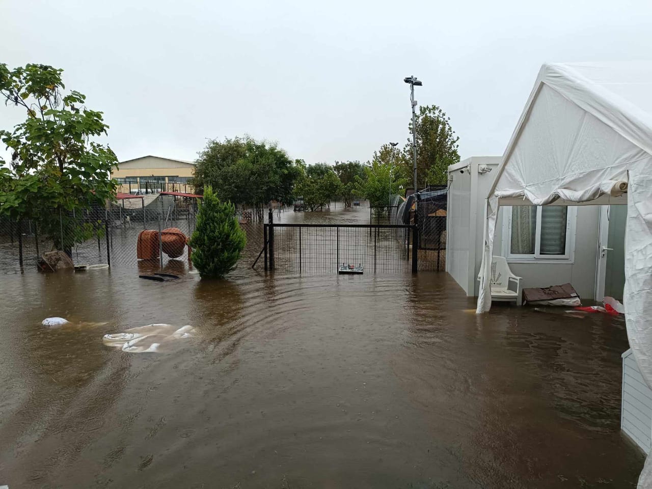 Tiere in Not Griechenland eV Flutkatastrophe Karditsa 2023 World of Strays Straßenhunde