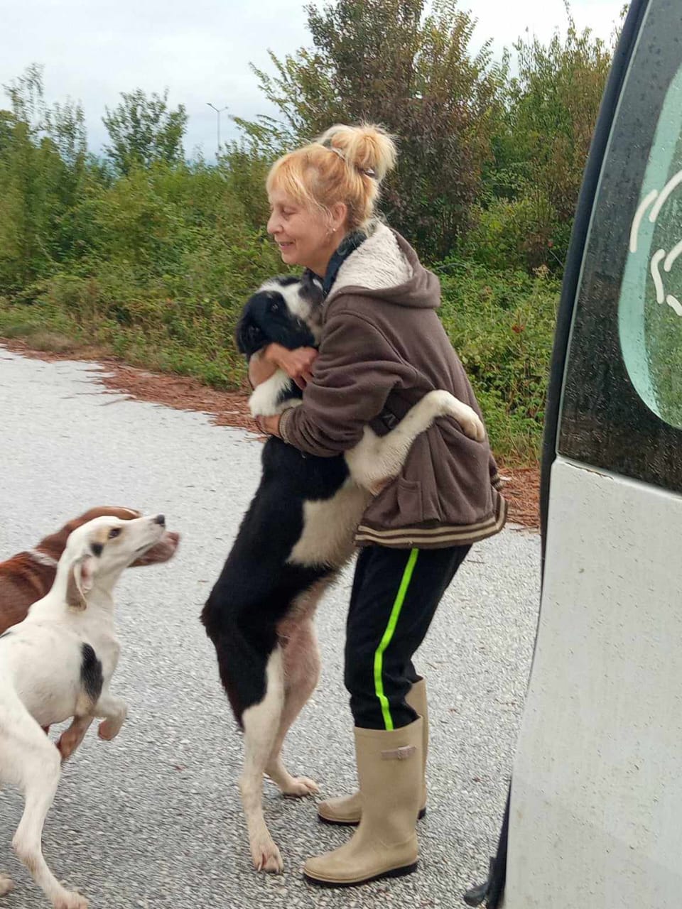 Tiere in Not Griechenland eV Flutkatastrophe Karditsa 2023 World of Strays Straßenhunde