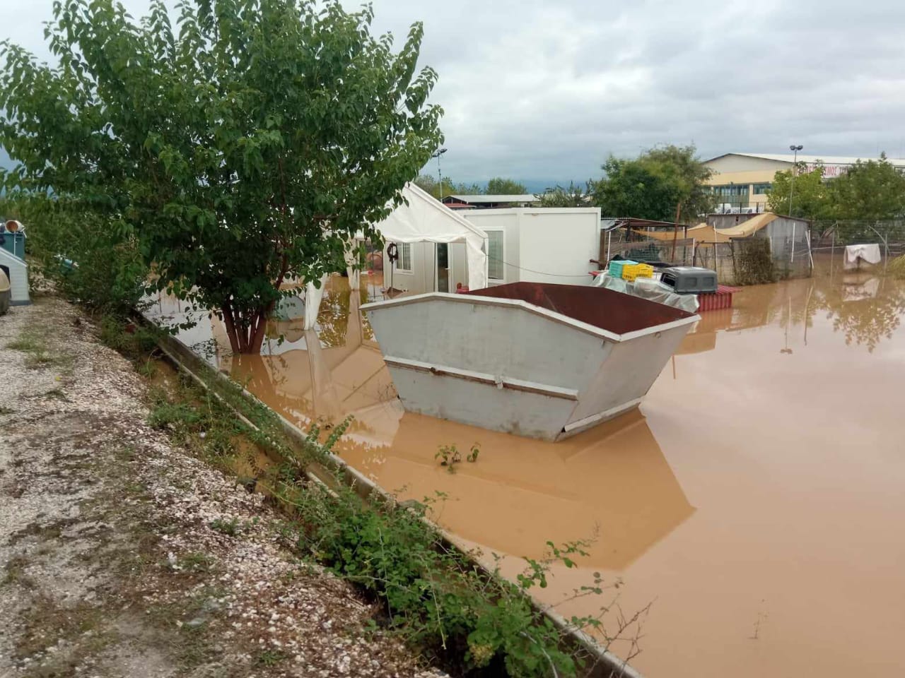 Tiere in Not Griechenland eV Flutkatastrophe Karditsa 2023 World of Strays Straßenhunde