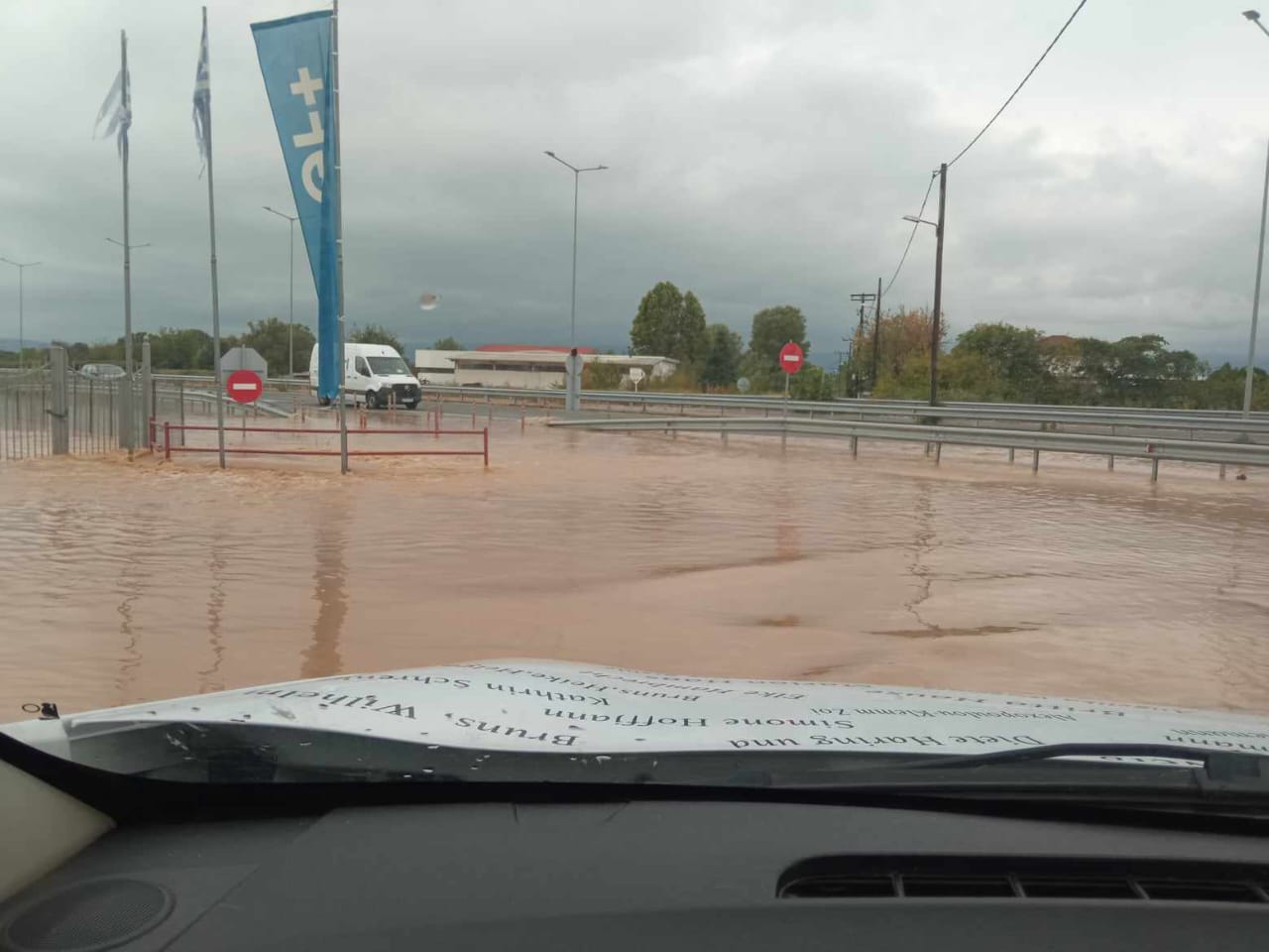 Tiere in Not Griechenland eV Flutkatastrophe Karditsa 2023 World of Strays Straßenhunde