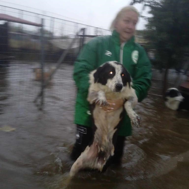 Tiere in Not Griechenland eV Flutkatastrophe Karditsa 2023 World of Strays Straßenhunde