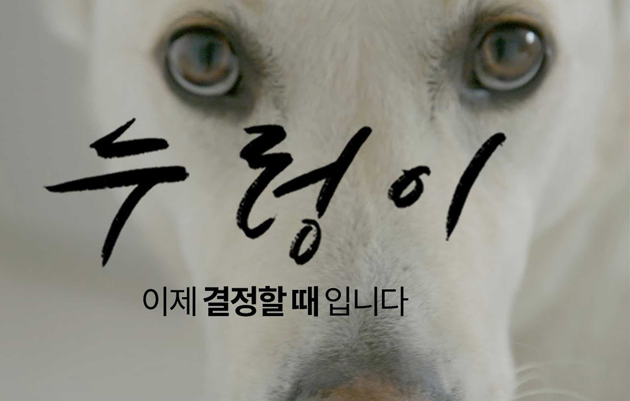 Nureongi Dokumentation Movie Dog Meat Trade Hundefleischhandel Korea World of Strays