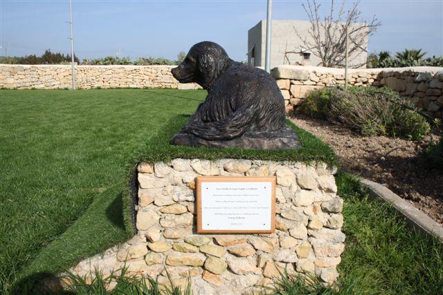 World of Strays Malta Tierschutz Star Straßenhunde