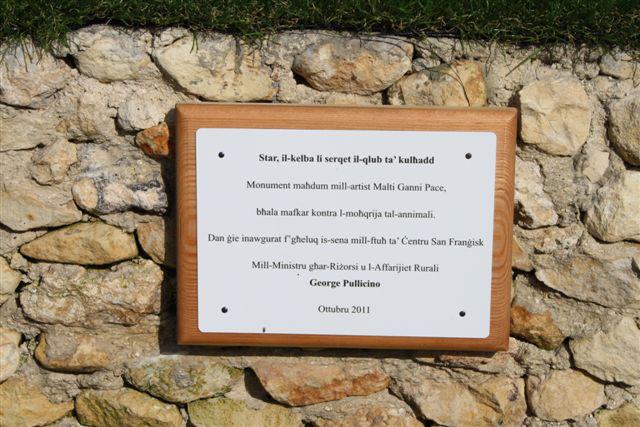 World of Strays Malta Tierschutz Star Straßenhunde