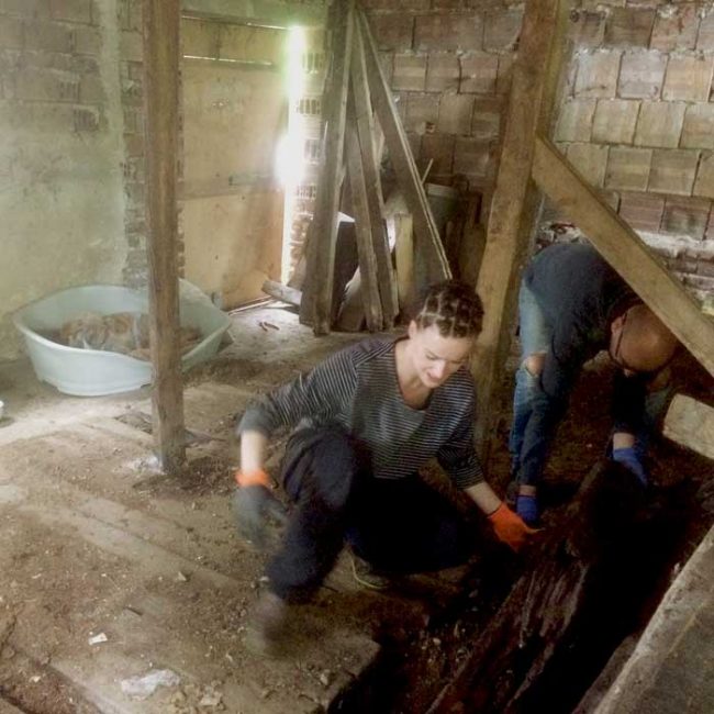 Naraya Bulgarien World of Strays Welt der Straßenhunde Street dogs Hunde