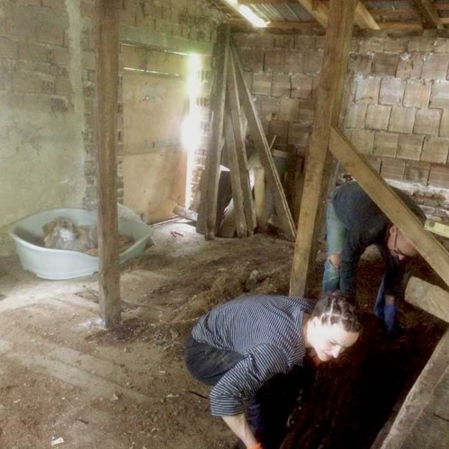 Naraya Bulgarien World of Strays Welt der Straßenhunde Street dogs Hunde